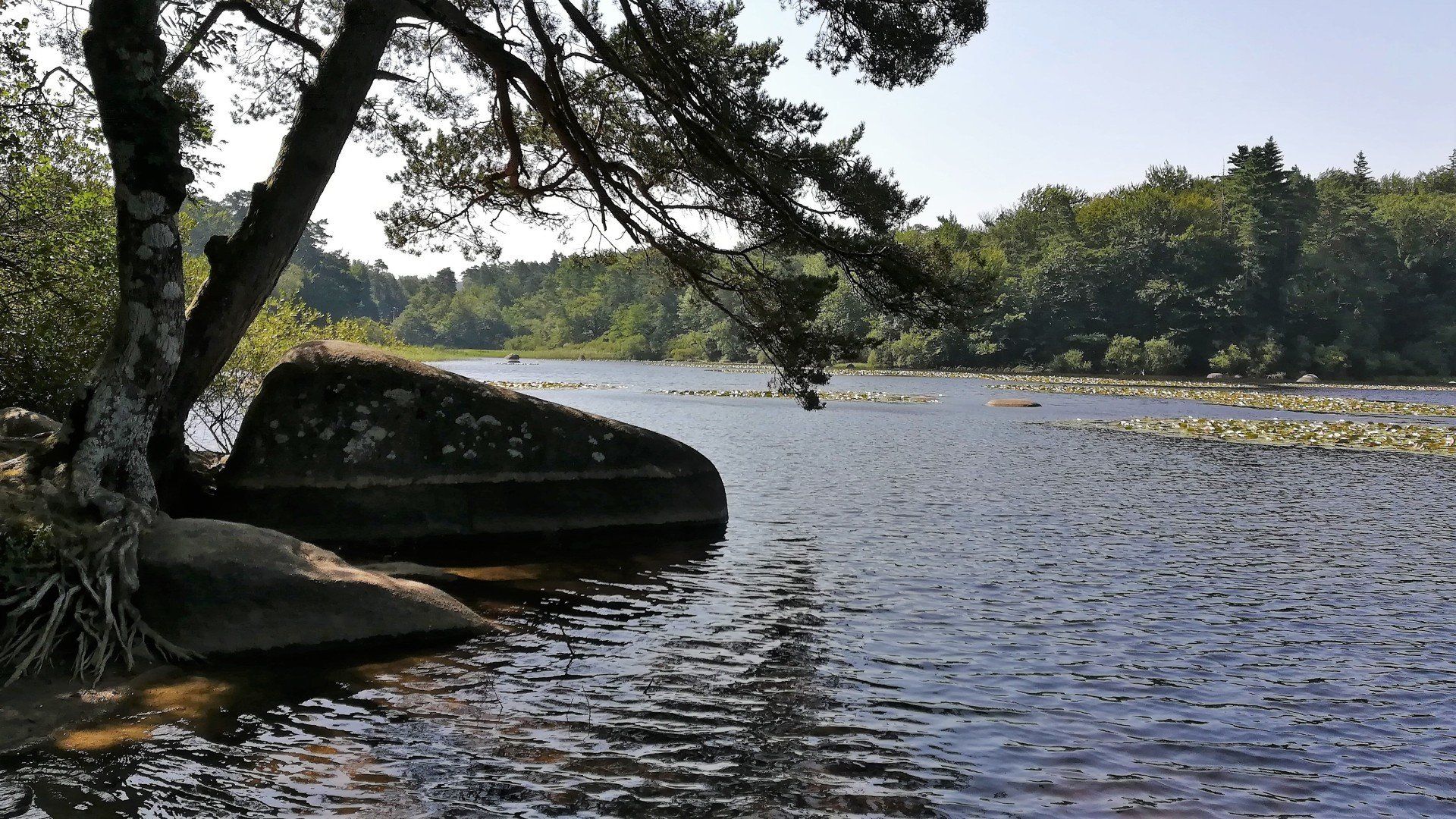 Aussac-gites lac Sidobre