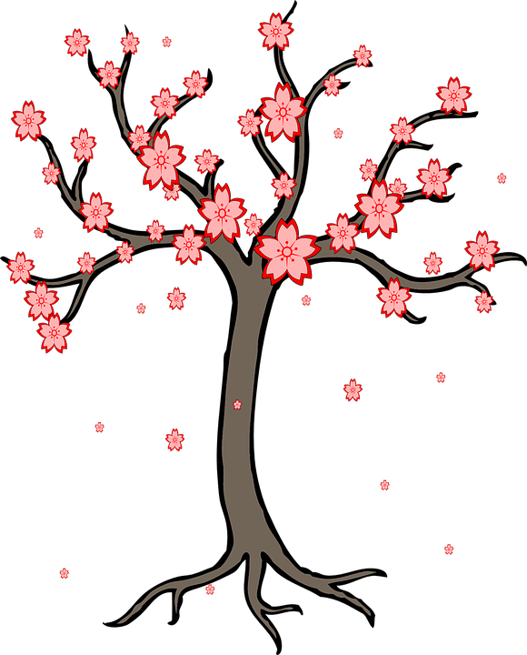 Gîte le cerisier Gîte le cerisier