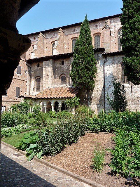 Aussac-gites Albi collégiale Saint-Salvy