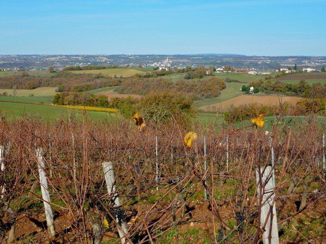 Aussac-gites coteaux de Carlus
