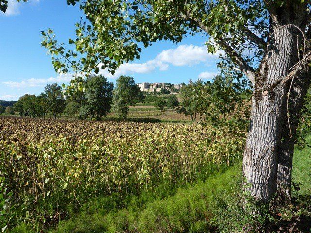 Aussac-gites Mauriac