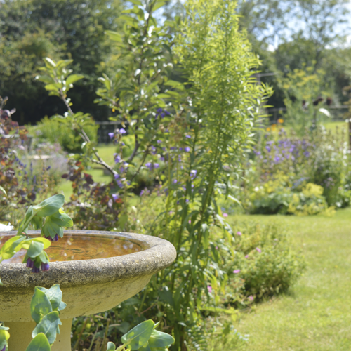 Frome cottage garden