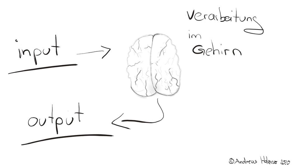 Neuroathletik auf Input fokussiert
