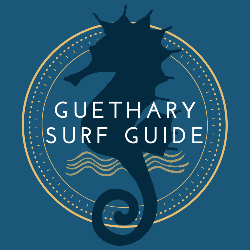 guethary surf guide cours surf pays Basque hippocampe