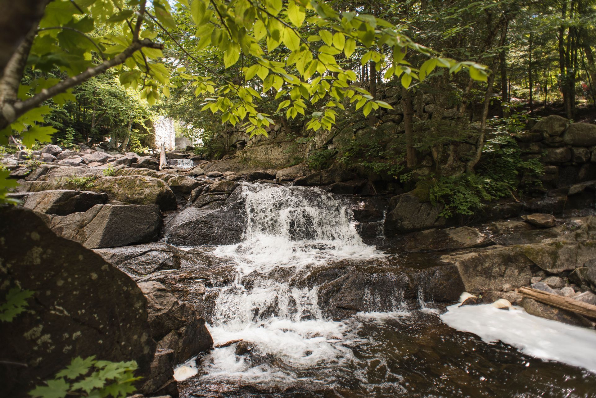 International Investment Law