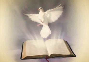 domowe kregi biblijne