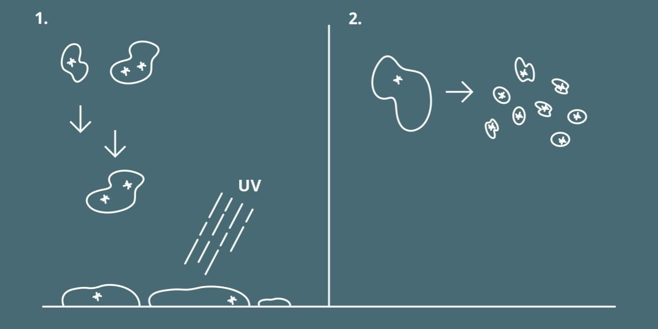 luftfeuchtigkeit-und-Virus