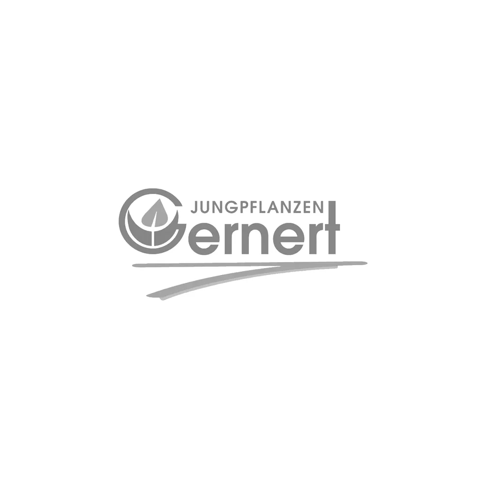 gernert-jungpflanzen