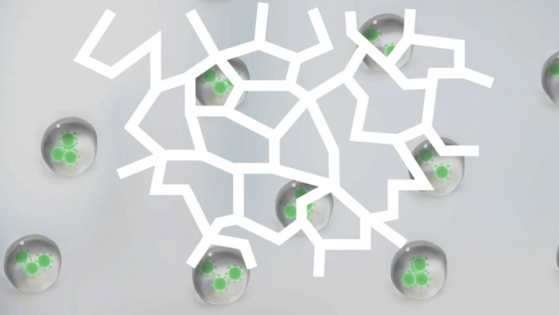 Virus-und-luftfeuchtigkeit