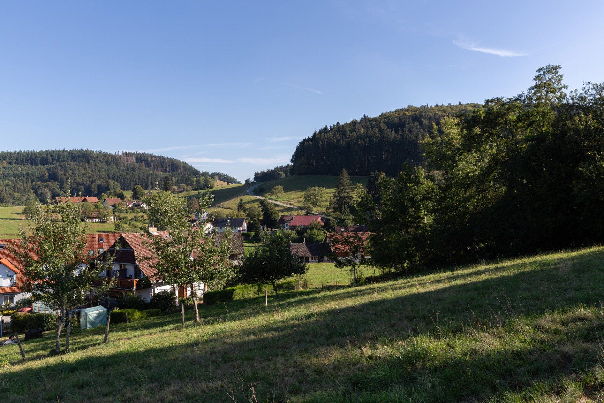 Blick auf Sallneck Blick auf Sallneck