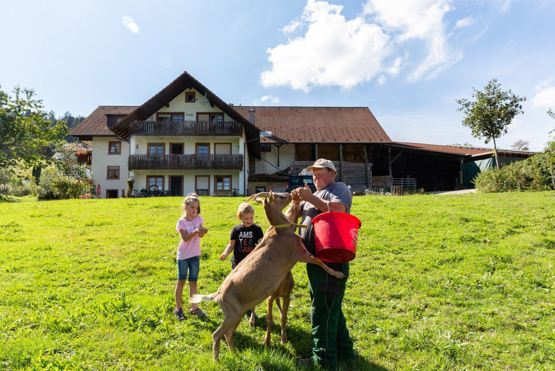 Bioland-Bauernhof-Dreher