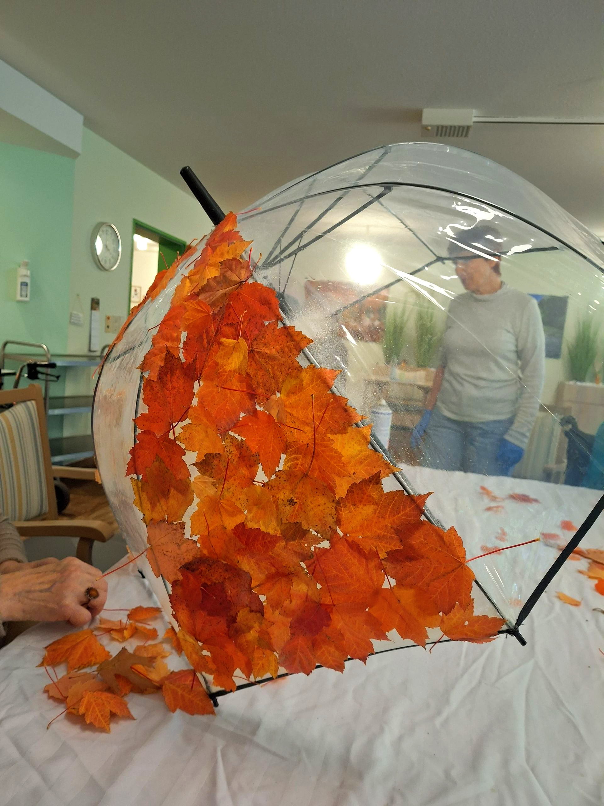 Transparenter Regenschirm dekoriert mit bunten Herbstblättern.