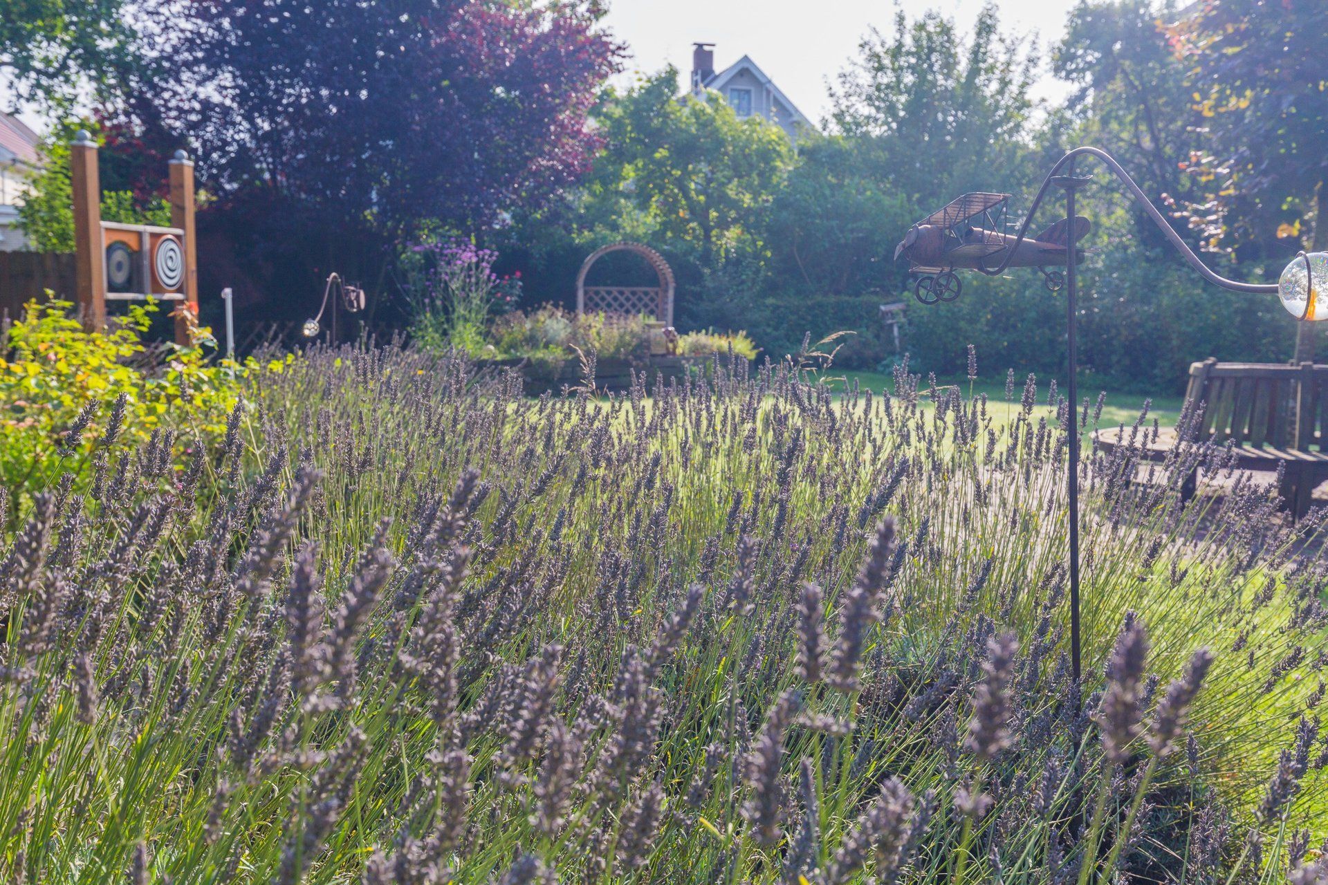 Blühender Lavendel im Garten des Lambertistifts mit Sitzbank und Gartendekoration im Hintergrund.
