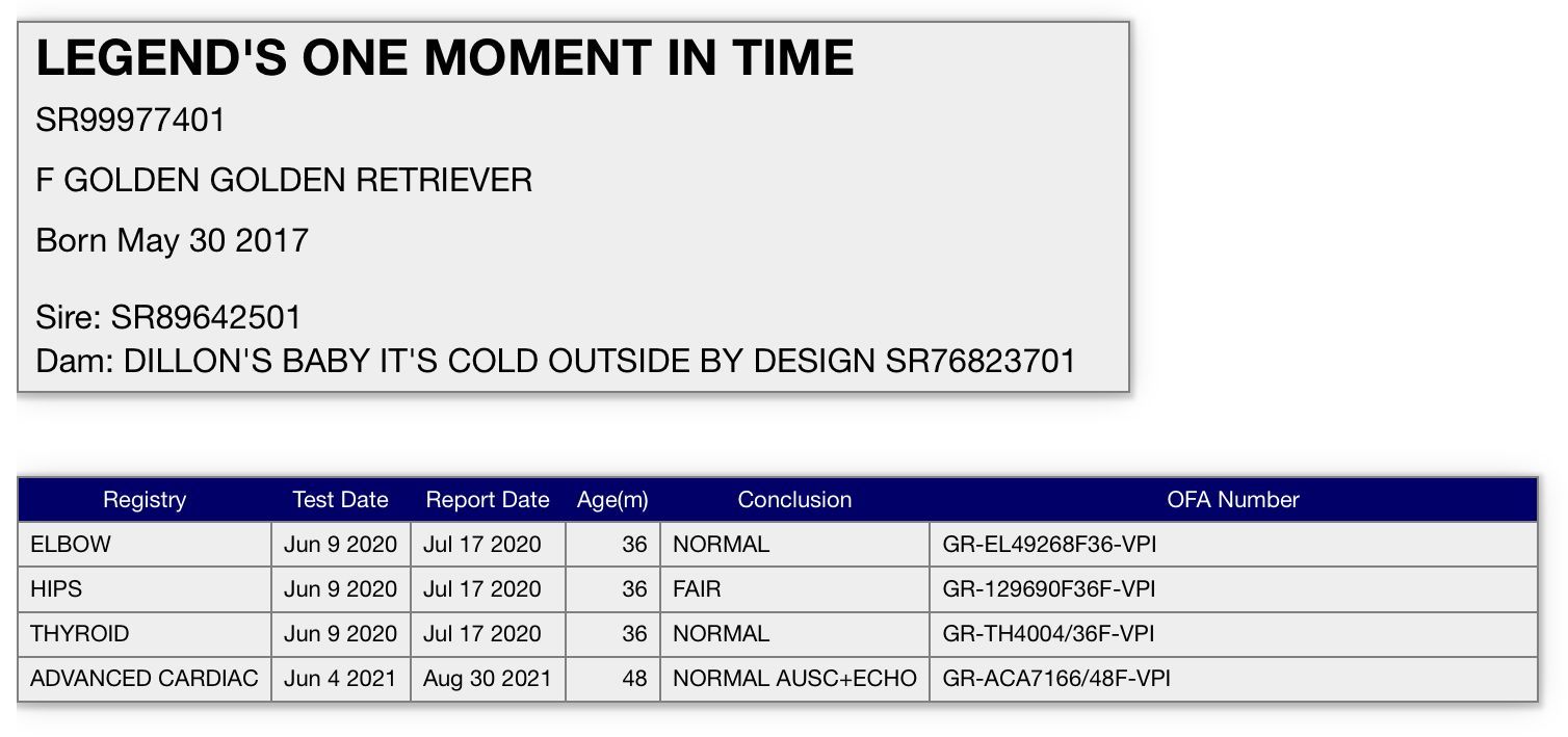 Golden retriever, akc, Breeder, legend golden retrievers, AKC, Breeder, AKC breeder, AKC breeder of Merit, Legend, Legenddogs, Legend Goldens, Legend golden retrievers, golden retriever, golden retriever puppies, golden retriever puppies for sale, golden retriever puppy, english cream golden retriever, mini golden retriever, red golden retriever, black golden retriever, white golden retriever, golden retriever puppies for sale near me, golden retriever puppies near me, english golden retriever, golden retriever price, golden retriever doggy, golden retriever for sale, golden retriever lifespan, miniature golden retriever, golden retriever breeders, baby golden retriever, cute golden retriever, golden retriever baby, golden retriever bf, golden retriever breeders near me, golden retriever dog, golden retriever near me, golden retriever vs labrador, puppy golden retriever, red golden retriever puppies, American golden retriever, golden retriever colors, golden retriever puppy near me, canadian golden retriever, cream golden retriever, field golden retriever, golden retriever breeder, golden retriever for sale near me, golden retriever puppies ohio, golden retriever weight, brown golden retriever, dark golden retriever, english cream golden retriever puppies for sale, golden retriever boy, golden retriever breeder near me, golden retriever energy, golden retriever personality, golden retriever pup for sale, golden retriever puppies nc, golden retriever puppy for sale, labrador vs golden retriever
AKC, Breeder, AKC breeder, AKC breeder of Merit, Legend, Legenddogs, Legend Goldens, Legend golden retrievers, golden retriever puppies, golden retriever puppies for sale, golden retriever puppy, golden retriever puppies for sale near me, golden retriever puppies near me, puppy golden retriever, red golden retriever puppies, golden retriever puppy near me, golden retriever puppies ohio, english cream golden retriever puppies for sale, golden retriever puppies nc, golden retriever puppy for sale, golden retriever puppies for sale $200, white golden retriever puppies, cute golden retriever puppies, english cream golden retriever puppies, golden retriever puppies indiana, golden retriever puppies mn, golden retriever puppies wisconsin, golden retriever puppy price, puppy for sale golden retriever, english golden retriever puppies, golden retriever puppies az, golden retriever puppies colorado, golden retriever puppies florida, golden retriever puppies georgia, golden retriever puppies oregon, golden retriever puppy for sale near me, labrador puppy vs golden retriever, red golden retriever puppies for sale, akc golden retriever puppies, golden retriever puppies iowa, golden retriever puppies price, black golden retriever puppy, cute golden retriever puppy, golden retriever puppies near me for sale, golden retriever puppies virginia, labrador golden retriever puppy, royal canin golden retriever puppy, cream golden retriever puppies, golden retriever puppies alabama, golden retriever puppies ct, golden retriever puppies houston, golden retriever puppies illinois, golden retriever puppies maine, golden retriever puppies michigan, golden retriever puppies photos, golden retriever puppies san diego, golden retriever puppies texas, golden retriever puppy photos, newborn golden retriever puppies, golden retriever puppies for sale in michigan, golden retriever puppies in michigan, golden retriever puppies for sale in ohio, AKC, Breeder, AKC breeder, AKC breeder of Merit, Legend, Legenddogs, Legend Goldens, Legend golden retrievers, , golden retriever puppies for sale, golden retriever puppies for sale near me, golden retriever for sale, golden retriever for sale near me, english cream golden retriever puppies for sale, golden retriever pup for sale, golden retriever puppy for sale, golden retriever puppies for sale $200, puppy for sale golden retriever, golden retriever puppy for sale near me, golden retriever pups for sale near me, red golden retriever puppies for sale, golden retriever sale, miniature golden retriever for sale, golden retriever puppies near me for sale, adult golden retriever for sale, english cream golden retriever for sale, english golden retriever puppies for sale, golden retriever dogs for sale, golden retriever near me for sale, red golden retriever for sale, english cream golden retriever puppies for sale near me, white golden retriever puppies for sale, golden retriever litter for sale, golden retriever puppies for sale in pa, golden retriever puppies for sale los angeles, miniature golden retriever for sale near me, black golden retriever puppies for sale, golden retriever on sale, golden retriever puppies for sale in michigan, golden retriever puppies for sale in mn, golden retriever puppies for sale in texas, baby golden retriever for sale, black golden retriever for sale, black golden retriever puppy for sale, english golden retriever for sale, golden retriever puppies for sale $500, golden retriever puppies for sale chicago, golden retriever puppies for sale in nc, golden retriever puppies for sale in nj, golden retriever puppies for sale in ohio, golden retriever puppies for sale near me under $500, golden retriever puppies sale, mini golden retriever for sale near me, small golden retriever for sale, dark red golden retriever puppies for sale, golden retriever puppies for sale in az, golden retriever puppies for sale in ct, golden retriever puppies for sale michigan, golden retriever puppies for sale ohio, golden retriever puppies in michigan for sale, golden retriever breeders, AKC, Breeder, AKC breeder, AKC breeder of Merit, Legend, Legenddogs, Legend Goldens, Legend golden retrievers, golden retriever breeders near me, golden retriever breeders florida, golden retriever breeders colorado, golden retriever breeders in ma, golden retriever breeders texas, best golden retriever breeders, english cream golden retriever breeders, golden retriever breeders georgia, golden retriever breeders in pa, golden retriever breeders nc, golden retriever breeders ohio, golden retriever breeders wisconsin, golden retriever breeders california, golden retriever breeders ct, golden retriever breeders illinois, golden retriever breeders michigan, golden retriever breeders mn, golden retriever breeders nj, golden retriever breeders indiana, golden retriever breeders va, red golden retriever breeders, golden retriever breeders az, golden retriever breeders in nh, golden retriever breeders maryland, golden retriever breeders ny, golden retriever breeders oregon, golden retriever breeders sc, golden retriever breeders washington, akc golden retriever breeders, english cream golden retriever breeders near me, english golden retriever breeders, golden retriever breeders north carolina, golden retriever dog breeders near me, mini golden retriever breeders, golden retriever breeders alabama, golden retriever breeders in iowa, golden retriever breeders in maine, golden retriever breeders in mn, golden retriever breeders in nc, golden retriever breeders in new england, golden retriever breeders in tn, golden retriever breeders minnesota, golden retriever breeders missouri, golden retriever breeders new england, golden retriever puppy breeders, wisconsin golden retriever breeders, field golden retriever breeders, golden retriever breeders houston,