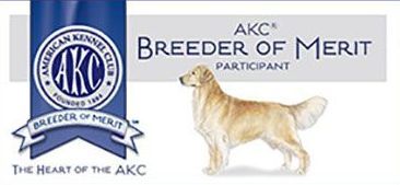 Golden retriever, akc, Breeder, legend golden retrievers, AKC, Breeder, AKC breeder, AKC breeder of Merit, Legend, Legenddogs, Legend Goldens, Legend golden retrievers, golden retriever, golden retriever puppies, golden retriever puppies for sale, golden retriever puppy, english cream golden retriever, mini golden retriever, red golden retriever, black golden retriever, white golden retriever, golden retriever puppies for sale near me, golden retriever puppies near me, english golden retriever, golden retriever price, golden retriever doggy, golden retriever for sale, golden retriever lifespan, miniature golden retriever, golden retriever breeders, baby golden retriever, cute golden retriever, golden retriever baby, golden retriever bf, golden retriever breeders near me, golden retriever dog, golden retriever near me, golden retriever vs labrador, puppy golden retriever, red golden retriever puppies, American golden retriever, golden retriever colors, golden retriever puppy near me, canadian golden retriever, cream golden retriever, field golden retriever, golden retriever breeder, golden retriever for sale near me, golden retriever puppies ohio, golden retriever weight, brown golden retriever, dark golden retriever, english cream golden retriever puppies for sale, golden retriever boy, golden retriever breeder near me, golden retriever energy, golden retriever personality, golden retriever pup for sale, golden retriever puppies nc, golden retriever puppy for sale, labrador vs golden retriever
AKC, Breeder, AKC breeder, AKC breeder of Merit, Legend, Legenddogs, Legend Goldens, Legend golden retrievers, golden retriever puppies, golden retriever puppies for sale, golden retriever puppy, golden retriever puppies for sale near me, golden retriever puppies near me, puppy golden retriever, red golden retriever puppies, golden retriever puppy near me, golden retriever puppies ohio, english cream golden retriever puppies for sale, golden retriever puppies nc, golden retriever puppy for sale, golden retriever puppies for sale $200, white golden retriever puppies, cute golden retriever puppies, english cream golden retriever puppies, golden retriever puppies indiana, golden retriever puppies mn, golden retriever puppies wisconsin, golden retriever puppy price, puppy for sale golden retriever, english golden retriever puppies, golden retriever puppies az, golden retriever puppies colorado, golden retriever puppies florida, golden retriever puppies georgia, golden retriever puppies oregon, golden retriever puppy for sale near me, labrador puppy vs golden retriever, red golden retriever puppies for sale, akc golden retriever puppies, golden retriever puppies iowa, golden retriever puppies price, black golden retriever puppy, cute golden retriever puppy, golden retriever puppies near me for sale, golden retriever puppies virginia, labrador golden retriever puppy, royal canin golden retriever puppy, cream golden retriever puppies, golden retriever puppies alabama, golden retriever puppies ct, golden retriever puppies houston, golden retriever puppies illinois, golden retriever puppies maine, golden retriever puppies michigan, golden retriever puppies photos, golden retriever puppies san diego, golden retriever puppies texas, golden retriever puppy photos, newborn golden retriever puppies, golden retriever puppies for sale in michigan, golden retriever puppies in michigan, golden retriever puppies for sale in ohio, AKC, Breeder, AKC breeder, AKC breeder of Merit, Legend, Legenddogs, Legend Goldens, Legend golden retrievers, , golden retriever puppies for sale, golden retriever puppies for sale near me, golden retriever for sale, golden retriever for sale near me, english cream golden retriever puppies for sale, golden retriever pup for sale, golden retriever puppy for sale, golden retriever puppies for sale $200, puppy for sale golden retriever, golden retriever puppy for sale near me, golden retriever pups for sale near me, red golden retriever puppies for sale, golden retriever sale, miniature golden retriever for sale, golden retriever puppies near me for sale, adult golden retriever for sale, english cream golden retriever for sale, english golden retriever puppies for sale, golden retriever dogs for sale, golden retriever near me for sale, red golden retriever for sale, english cream golden retriever puppies for sale near me, white golden retriever puppies for sale, golden retriever litter for sale, golden retriever puppies for sale in pa, golden retriever puppies for sale los angeles, miniature golden retriever for sale near me, black golden retriever puppies for sale, golden retriever on sale, golden retriever puppies for sale in michigan, golden retriever puppies for sale in mn, golden retriever puppies for sale in texas, baby golden retriever for sale, black golden retriever for sale, black golden retriever puppy for sale, english golden retriever for sale, golden retriever puppies for sale $500, golden retriever puppies for sale chicago, golden retriever puppies for sale in nc, golden retriever puppies for sale in nj, golden retriever puppies for sale in ohio, golden retriever puppies for sale near me under $500, golden retriever puppies sale, mini golden retriever for sale near me, small golden retriever for sale, dark red golden retriever puppies for sale, golden retriever puppies for sale in az, golden retriever puppies for sale in ct, golden retriever puppies for sale michigan, golden retriever puppies for sale ohio, golden retriever puppies in michigan for sale, golden retriever breeders, AKC, Breeder, AKC breeder, AKC breeder of Merit, Legend, Legenddogs, Legend Goldens, Legend golden retrievers, golden retriever breeders near me, golden retriever breeders florida, golden retriever breeders colorado, golden retriever breeders in ma, golden retriever breeders texas, best golden retriever breeders, english cream golden retriever breeders, golden retriever breeders georgia, golden retriever breeders in pa, golden retriever breeders nc, golden retriever breeders ohio, golden retriever breeders wisconsin, golden retriever breeders california, golden retriever breeders ct, golden retriever breeders illinois, golden retriever breeders michigan, golden retriever breeders mn, golden retriever breeders nj, golden retriever breeders indiana, golden retriever breeders va, red golden retriever breeders, golden retriever breeders az, golden retriever breeders in nh, golden retriever breeders maryland, golden retriever breeders ny, golden retriever breeders oregon, golden retriever breeders sc, golden retriever breeders washington, akc golden retriever breeders, english cream golden retriever breeders near me, english golden retriever breeders, golden retriever breeders north carolina, golden retriever dog breeders near me, mini golden retriever breeders, golden retriever breeders alabama, golden retriever breeders in iowa, golden retriever breeders in maine, golden retriever breeders in mn, golden retriever breeders in nc, golden retriever breeders in new england, golden retriever breeders in tn, golden retriever breeders minnesota, golden retriever breeders missouri, golden retriever breeders new england, golden retriever puppy breeders, wisconsin golden retriever breeders, field golden retriever breeders, golden retriever breeders houston,