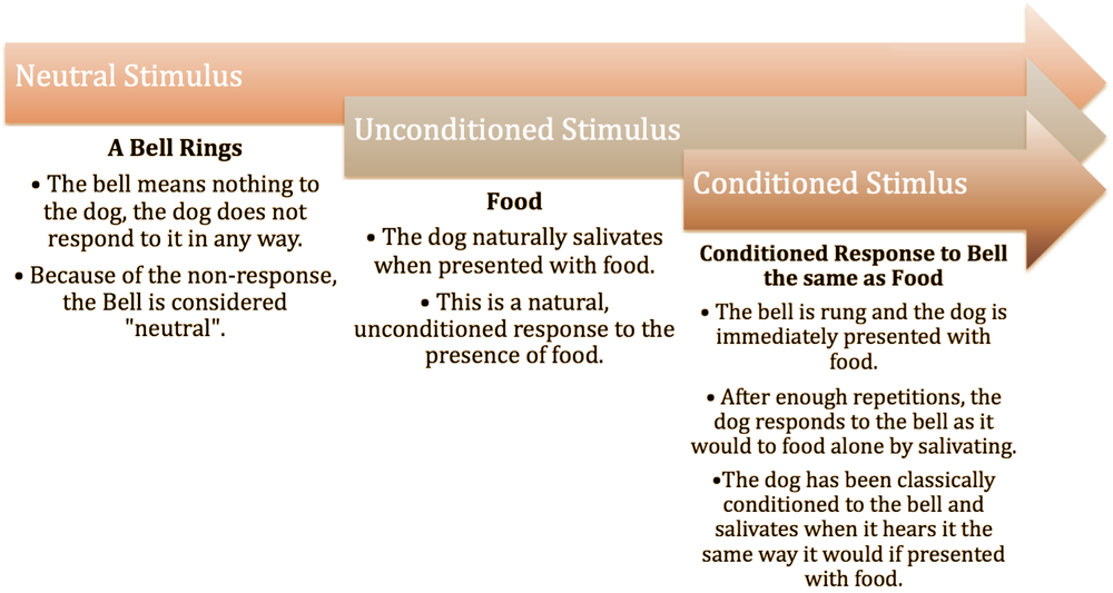 Golden retriever, akc, Breeder, legend golden retrievers, AKC, Breeder, AKC breeder, AKC breeder of Merit, Legend, Legenddogs, Legend Goldens, Legend golden retrievers, golden retriever, golden retriever puppies, golden retriever puppies for sale, golden retriever puppy, english cream golden retriever, mini golden retriever, red golden retriever, black golden retriever, white golden retriever, golden retriever puppies for sale near me, golden retriever puppies near me, english golden retriever, golden retriever price, golden retriever doggy, golden retriever for sale, golden retriever lifespan, miniature golden retriever, golden retriever breeders, baby golden retriever, cute golden retriever, golden retriever baby, golden retriever bf, golden retriever breeders near me, golden retriever dog, golden retriever near me, golden retriever vs labrador, puppy golden retriever, red golden retriever puppies, American golden retriever, golden retriever colors, golden retriever puppy near me, canadian golden retriever, cream golden retriever, field golden retriever, golden retriever breeder, golden retriever for sale near me, golden retriever puppies ohio, golden retriever weight, brown golden retriever, dark golden retriever, english cream golden retriever puppies for sale, golden retriever boy, golden retriever breeder near me, golden retriever energy, golden retriever personality, golden retriever pup for sale, golden retriever puppies nc, golden retriever puppy for sale, labrador vs golden retriever
AKC, Breeder, AKC breeder, AKC breeder of Merit, Legend, Legenddogs, Legend Goldens, Legend golden retrievers, golden retriever puppies, golden retriever puppies for sale, golden retriever puppy, golden retriever puppies for sale near me, golden retriever puppies near me, puppy golden retriever, red golden retriever puppies, golden retriever puppy near me, golden retriever puppies ohio, english cream golden retriever puppies for sale, golden retriever puppies nc, golden retriever puppy for sale, golden retriever puppies for sale $200, white golden retriever puppies, cute golden retriever puppies, english cream golden retriever puppies, golden retriever puppies indiana, golden retriever puppies mn, golden retriever puppies wisconsin, golden retriever puppy price, puppy for sale golden retriever, english golden retriever puppies, golden retriever puppies az, golden retriever puppies colorado, golden retriever puppies florida, golden retriever puppies georgia, golden retriever puppies oregon, golden retriever puppy for sale near me, labrador puppy vs golden retriever, red golden retriever puppies for sale, akc golden retriever puppies, golden retriever puppies iowa, golden retriever puppies price, black golden retriever puppy, cute golden retriever puppy, golden retriever puppies near me for sale, golden retriever puppies virginia, labrador golden retriever puppy, royal canin golden retriever puppy, cream golden retriever puppies, golden retriever puppies alabama, golden retriever puppies ct, golden retriever puppies houston, golden retriever puppies illinois, golden retriever puppies maine, golden retriever puppies michigan, golden retriever puppies photos, golden retriever puppies san diego, golden retriever puppies texas, golden retriever puppy photos, newborn golden retriever puppies, golden retriever puppies for sale in michigan, golden retriever puppies in michigan, golden retriever puppies for sale in ohio, AKC, Breeder, AKC breeder, AKC breeder of Merit, Legend, Legenddogs, Legend Goldens, Legend golden retrievers, , golden retriever puppies for sale, golden retriever puppies for sale near me, golden retriever for sale, golden retriever for sale near me, english cream golden retriever puppies for sale, golden retriever pup for sale, golden retriever puppy for sale, golden retriever puppies for sale $200, puppy for sale golden retriever, golden retriever puppy for sale near me, golden retriever pups for sale near me, red golden retriever puppies for sale, golden retriever sale, miniature golden retriever for sale, golden retriever puppies near me for sale, adult golden retriever for sale, english cream golden retriever for sale, english golden retriever puppies for sale, golden retriever dogs for sale, golden retriever near me for sale, red golden retriever for sale, english cream golden retriever puppies for sale near me, white golden retriever puppies for sale, golden retriever litter for sale, golden retriever puppies for sale in pa, golden retriever puppies for sale los angeles, miniature golden retriever for sale near me, black golden retriever puppies for sale, golden retriever on sale, golden retriever puppies for sale in michigan, golden retriever puppies for sale in mn, golden retriever puppies for sale in texas, baby golden retriever for sale, black golden retriever for sale, black golden retriever puppy for sale, english golden retriever for sale, golden retriever puppies for sale $500, golden retriever puppies for sale chicago, golden retriever puppies for sale in nc, golden retriever puppies for sale in nj, golden retriever puppies for sale in ohio, golden retriever puppies for sale near me under $500, golden retriever puppies sale, mini golden retriever for sale near me, small golden retriever for sale, dark red golden retriever puppies for sale, golden retriever puppies for sale in az, golden retriever puppies for sale in ct, golden retriever puppies for sale michigan, golden retriever puppies for sale ohio, golden retriever puppies in michigan for sale, golden retriever breeders, AKC, Breeder, AKC breeder, AKC breeder of Merit, Legend, Legenddogs, Legend Goldens, Legend golden retrievers, golden retriever breeders near me, golden retriever breeders florida, golden retriever breeders colorado, golden retriever breeders in ma, golden retriever breeders texas, best golden retriever breeders, english cream golden retriever breeders, golden retriever breeders georgia, golden retriever breeders in pa, golden retriever breeders nc, golden retriever breeders ohio, golden retriever breeders wisconsin, golden retriever breeders california, golden retriever breeders ct, golden retriever breeders illinois, golden retriever breeders michigan, golden retriever breeders mn, golden retriever breeders nj, golden retriever breeders indiana, golden retriever breeders va, red golden retriever breeders, golden retriever breeders az, golden retriever breeders in nh, golden retriever breeders maryland, golden retriever breeders ny, golden retriever breeders oregon, golden retriever breeders sc, golden retriever breeders washington, akc golden retriever breeders, english cream golden retriever breeders near me, english golden retriever breeders, golden retriever breeders north carolina, golden retriever dog breeders near me, mini golden retriever breeders, golden retriever breeders alabama, golden retriever breeders in iowa, golden retriever breeders in maine, golden retriever breeders in mn, golden retriever breeders in nc, golden retriever breeders in new england, golden retriever breeders in tn, golden retriever breeders minnesota, golden retriever breeders missouri, golden retriever breeders new england, golden retriever puppy breeders, wisconsin golden retriever breeders, field golden retriever breeders, golden retriever breeders houston,