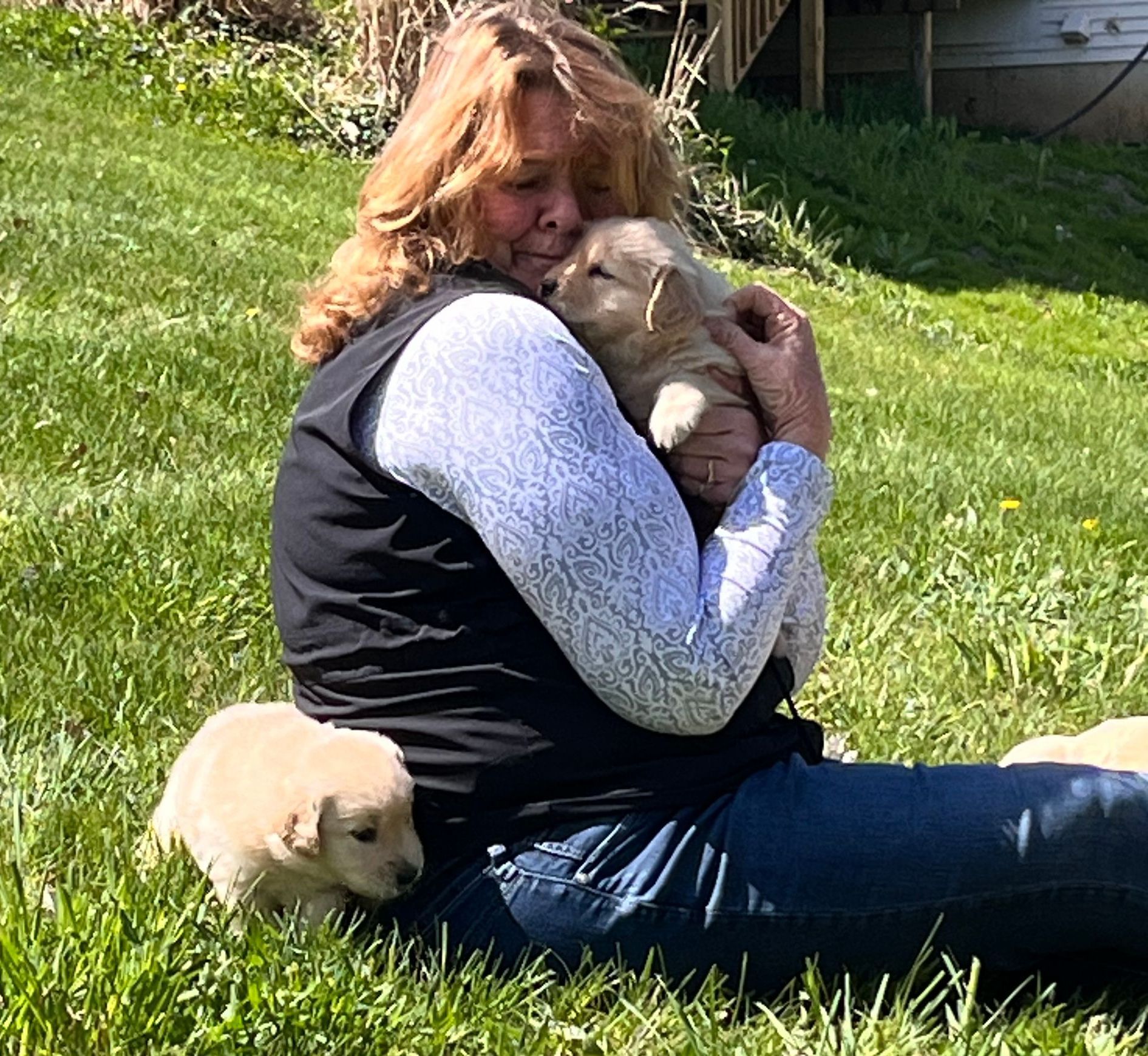 Legend Golden Retriever Puppy hugs