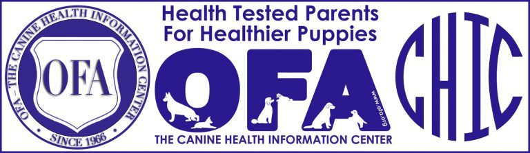 Golden retriever, akc, Breeder, legend golden retrievers, OFA, dna, h,earth, testing, AKC, Breeder, AKC breeder, AKC breeder of Merit, Legend, Legenddogs, Legend Goldens, Legend golden retrievers, , golden retriever puppies for sale, golden retriever puppies for sale near me, golden retriever for sale, golden retriever for sale near me, english cream golden retriever puppies for sale, golden retriever pup for sale, golden retriever puppy for sale, golden retriever puppies for sale $200, puppy for sale golden retriever, golden retriever puppy for sale near me, golden retriever pups for sale near me, red golden retriever puppies for sale, golden retriever sale, miniature golden retriever for sale, golden retriever puppies near me for sale, adult golden retriever for sale, english cream golden retriever for sale, english golden retriever puppies for sale, golden retriever dogs for sale, golden retriever near me for sale, red golden retriever for sale, english cream golden retriever puppies for sale near me, white golden retriever puppies for sale, golden retriever litter for sale, golden retriever puppies for sale in pa, golden retriever puppies for sale los angeles, miniature golden retriever for sale near me, black golden retriever puppies for sale, golden retriever on sale, golden retriever puppies for sale in michigan, golden retriever puppies for sale in mn, golden retriever puppies for sale in texas, baby golden retriever for sale, black golden retriever for sale, black golden retriever puppy for sale, english golden retriever for sale, golden retriever puppies for sale $500, golden retriever puppies for sale chicago, golden retriever puppies for sale in nc, golden retriever puppies for sale in nj, golden retriever puppies for sale in ohio, golden retriever puppies for sale near me under $500, golden retriever puppies sale, mini golden retriever for sale near me, small golden retriever for sale, dark red golden retriever puppies for sale, golden retriever puppies for sale in az, golden retriever puppies for sale in ct, golden retriever puppies for sale michigan, golden retriever puppies for sale ohio, golden retriever puppies in michigan for sale,