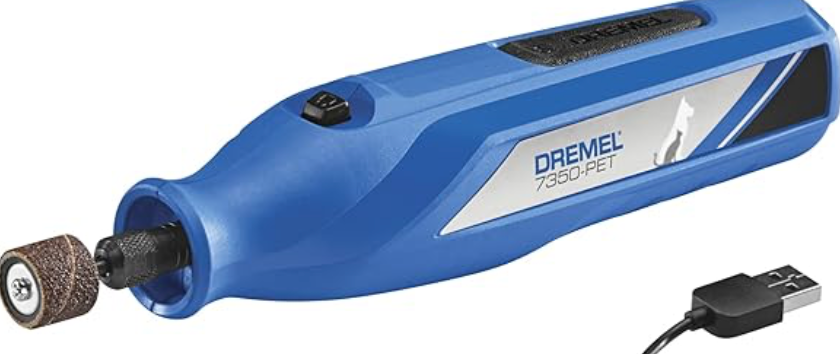 Legend Golden Retriever Puppy