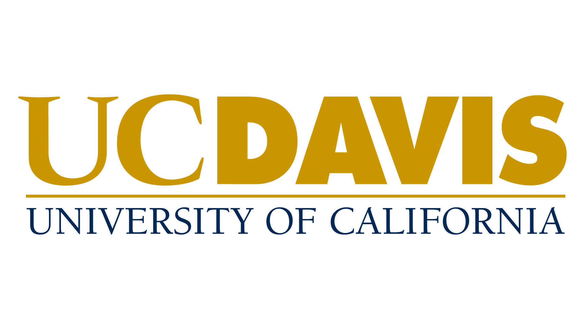 Golden Retriever UCDavis