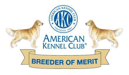 Golden retriever, akc, Breeder, legend golden retrievers, AKC, Breeder, AKC breeder, AKC breeder of Merit, Legend, Legenddogs, Legend Goldens, Legend golden retrievers, golden retriever, golden retriever puppies, golden retriever puppies for sale, golden retriever puppy, english cream golden retriever, mini golden retriever, red golden retriever, black golden retriever, white golden retriever, golden retriever puppies for sale near me, golden retriever puppies near me, english golden retriever, golden retriever price, golden retriever doggy, golden retriever for sale, golden retriever lifespan, miniature golden retriever, golden retriever breeders, baby golden retriever, cute golden retriever, golden retriever baby, golden retriever bf, golden retriever breeders near me, golden retriever dog, golden retriever near me, golden retriever vs labrador, puppy golden retriever, red golden retriever puppies, American golden retriever, golden retriever colors, golden retriever puppy near me, canadian golden retriever, cream golden retriever, field golden retriever, golden retriever breeder, golden retriever for sale near me, golden retriever puppies ohio, golden retriever weight, brown golden retriever, dark golden retriever, english cream golden retriever puppies for sale, golden retriever boy, golden retriever breeder near me, golden retriever energy, golden retriever personality, golden retriever pup for sale, golden retriever puppies nc, golden retriever puppy for sale, labrador vs golden retriever
AKC, Breeder, AKC breeder, AKC breeder of Merit, Legend, Legenddogs, Legend Goldens, Legend golden retrievers, golden retriever puppies, golden retriever puppies for sale, golden retriever puppy, golden retriever puppies for sale near me, golden retriever puppies near me, puppy golden retriever, red golden retriever puppies, golden retriever puppy near me, golden retriever puppies ohio, english cream golden retriever puppies for sale, golden retriever puppies nc, golden retriever puppy for sale, golden retriever puppies for sale $200, white golden retriever puppies, cute golden retriever puppies, english cream golden retriever puppies, golden retriever puppies indiana, golden retriever puppies mn, golden retriever puppies wisconsin, golden retriever puppy price, puppy for sale golden retriever, english golden retriever puppies, golden retriever puppies az, golden retriever puppies colorado, golden retriever puppies florida, golden retriever puppies georgia, golden retriever puppies oregon, golden retriever puppy for sale near me, labrador puppy vs golden retriever, red golden retriever puppies for sale, akc golden retriever puppies, golden retriever puppies iowa, golden retriever puppies price, black golden retriever puppy, cute golden retriever puppy, golden retriever puppies near me for sale, golden retriever puppies virginia, labrador golden retriever puppy, royal canin golden retriever puppy, cream golden retriever puppies, golden retriever puppies alabama, golden retriever puppies ct, golden retriever puppies houston, golden retriever puppies illinois, golden retriever puppies maine, golden retriever puppies michigan, golden retriever puppies photos, golden retriever puppies san diego, golden retriever puppies texas, golden retriever puppy photos, newborn golden retriever puppies, golden retriever puppies for sale in michigan, golden retriever puppies in michigan, golden retriever puppies for sale in ohio, AKC, Breeder, AKC breeder, AKC breeder of Merit, Legend, Legenddogs, Legend Goldens, Legend golden retrievers, , golden retriever puppies for sale, golden retriever puppies for sale near me, golden retriever for sale, golden retriever for sale near me, english cream golden retriever puppies for sale, golden retriever pup for sale, golden retriever puppy for sale, golden retriever puppies for sale $200, puppy for sale golden retriever, golden retriever puppy for sale near me, golden retriever pups for sale near me, red golden retriever puppies for sale, golden retriever sale, miniature golden retriever for sale, golden retriever puppies near me for sale, adult golden retriever for sale, english cream golden retriever for sale, english golden retriever puppies for sale, golden retriever dogs for sale, golden retriever near me for sale, red golden retriever for sale, english cream golden retriever puppies for sale near me, white golden retriever puppies for sale, golden retriever litter for sale, golden retriever puppies for sale in pa, golden retriever puppies for sale los angeles, miniature golden retriever for sale near me, black golden retriever puppies for sale, golden retriever on sale, golden retriever puppies for sale in michigan, golden retriever puppies for sale in mn, golden retriever puppies for sale in texas, baby golden retriever for sale, black golden retriever for sale, black golden retriever puppy for sale, english golden retriever for sale, golden retriever puppies for sale $500, golden retriever puppies for sale chicago, golden retriever puppies for sale in nc, golden retriever puppies for sale in nj, golden retriever puppies for sale in ohio, golden retriever puppies for sale near me under $500, golden retriever puppies sale, mini golden retriever for sale near me, small golden retriever for sale, dark red golden retriever puppies for sale, golden retriever puppies for sale in az, golden retriever puppies for sale in ct, golden retriever puppies for sale michigan, golden retriever puppies for sale ohio, golden retriever puppies in michigan for sale, golden retriever breeders, AKC, Breeder, AKC breeder, AKC breeder of Merit, Legend, Legenddogs, Legend Goldens, Legend golden retrievers, golden retriever breeders near me, golden retriever breeders florida, golden retriever breeders colorado, golden retriever breeders in ma, golden retriever breeders texas, best golden retriever breeders, english cream golden retriever breeders, golden retriever breeders georgia, golden retriever breeders in pa, golden retriever breeders nc, golden retriever breeders ohio, golden retriever breeders wisconsin, golden retriever breeders california, golden retriever breeders ct, golden retriever breeders illinois, golden retriever breeders michigan, golden retriever breeders mn, golden retriever breeders nj, golden retriever breeders indiana, golden retriever breeders va, red golden retriever breeders, golden retriever breeders az, golden retriever breeders in nh, golden retriever breeders maryland, golden retriever breeders ny, golden retriever breeders oregon, golden retriever breeders sc, golden retriever breeders washington, akc golden retriever breeders, english cream golden retriever breeders near me, english golden retriever breeders, golden retriever breeders north carolina, golden retriever dog breeders near me, mini golden retriever breeders, golden retriever breeders alabama, golden retriever breeders in iowa, golden retriever breeders in maine, golden retriever breeders in mn, golden retriever breeders in nc, golden retriever breeders in new england, golden retriever breeders in tn, golden retriever breeders minnesota, golden retriever breeders missouri, golden retriever breeders new england, golden retriever puppy breeders, wisconsin golden retriever breeders, field golden retriever breeders, golden retriever breeders houston,