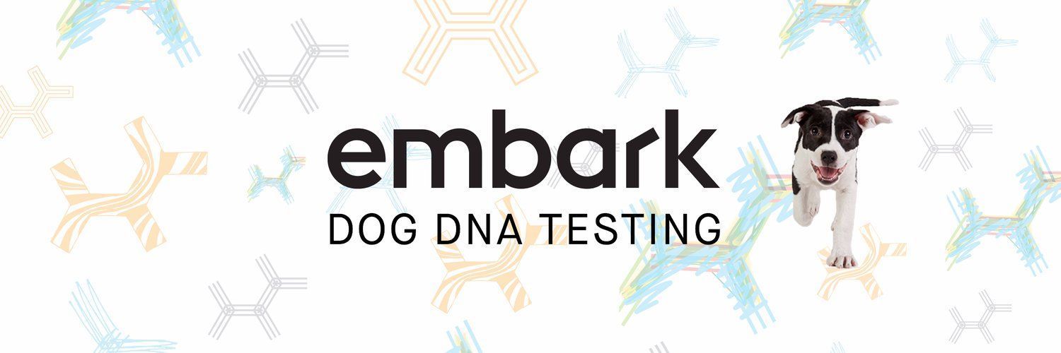 Golden retriever, akc, Breeder, legend golden retrievers, AKC, Breeder, AKC breeder, AKC breeder of Merit, Legend, Legenddogs, Legend Goldens, Legend golden retrievers, , golden retriever puppies for sale, golden retriever puppies for sale near me, golden retriever for sale, golden retriever for sale near me, english cream golden retriever puppies for sale, golden retriever pup for sale, golden retriever puppy for sale, golden retriever puppies for sale $200, puppy for sale golden retriever, golden retriever puppy for sale near me, golden retriever pups for sale near me, red golden retriever puppies for sale, golden retriever sale, miniature golden retriever for sale, golden retriever puppies near me for sale, adult golden retriever for sale, english cream golden retriever for sale, english golden retriever puppies for sale, golden retriever dogs for sale, golden retriever near me for sale, red golden retriever for sale, english cream golden retriever puppies for sale near me, white golden retriever puppies for sale, golden retriever litter for sale, golden retriever puppies for sale in pa, golden retriever puppies for sale los angeles, miniature golden retriever for sale near me, black golden retriever puppies for sale, golden retriever on sale, golden retriever puppies for sale in michigan, golden retriever puppies for sale in mn, golden retriever puppies for sale in texas, baby golden retriever for sale, black golden retriever for sale, black golden retriever puppy for sale, english golden retriever for sale, golden retriever puppies for sale $500, golden retriever puppies for sale chicago, golden retriever puppies for sale in nc, golden retriever puppies for sale in nj, golden retriever puppies for sale in ohio, golden retriever puppies for sale near me under $500, golden retriever puppies sale, mini golden retriever for sale near me, small golden retriever for sale, dark red golden retriever puppies for sale, golden retriever puppies for sale in az, golden retriever puppies for sale in ct, golden retriever puppies for sale michigan, golden retriever puppies for sale ohio, golden retriever puppies in michigan for sale,