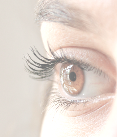 Wichtigkeit eines gesunden Tränenfilms Nahaufnahme eines gutbenetzten Auges, mit brauner Iris.