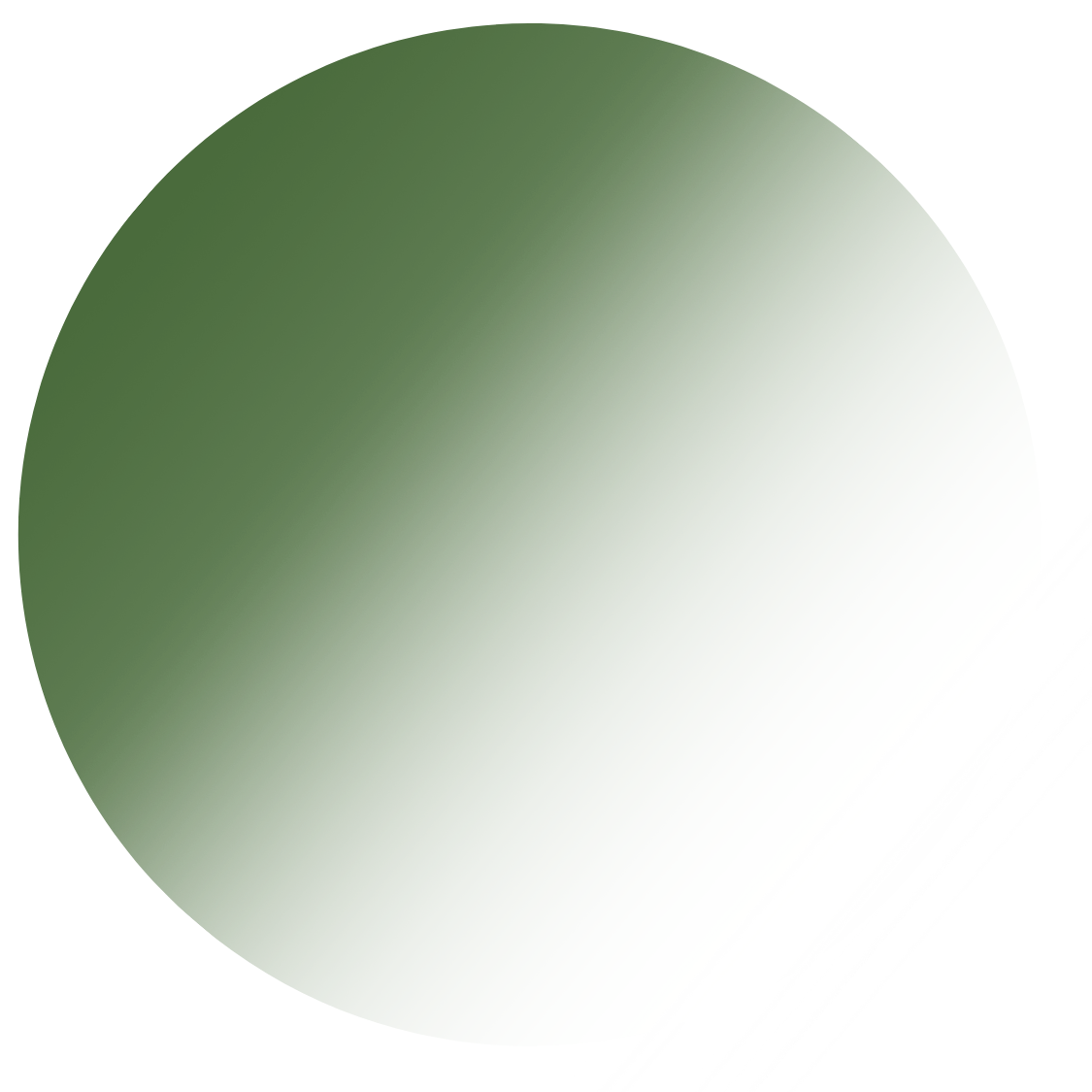 Grüne Gläser für entspanntes Sehen im Alltag
