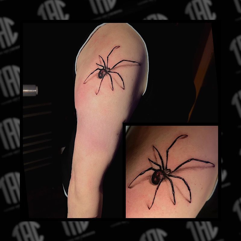 Spinn Tattoo, schwarzer Witwe