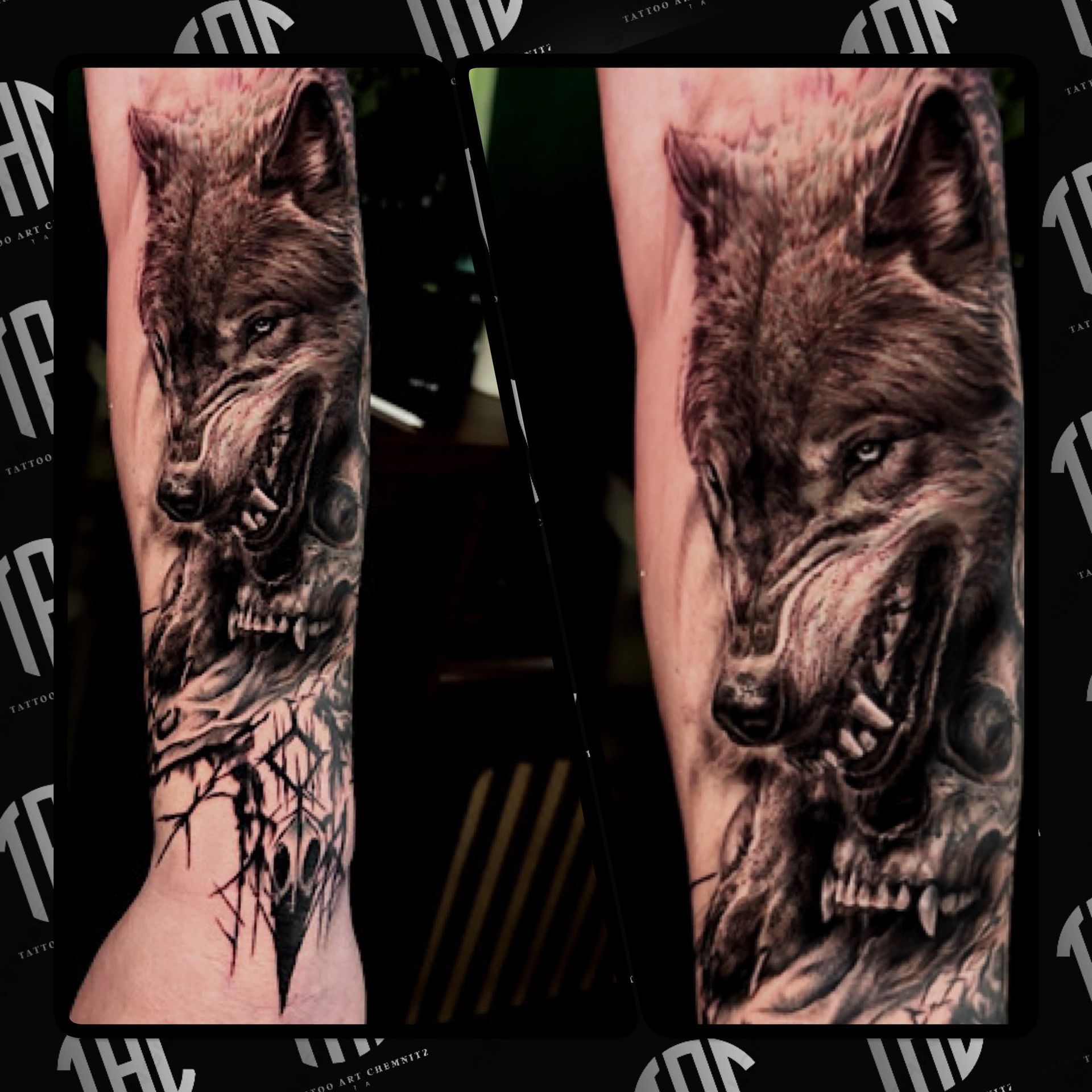 Realistic Wolf Tattoo am Unterarm – gestochen bei Artist Thomas in Chemnitz