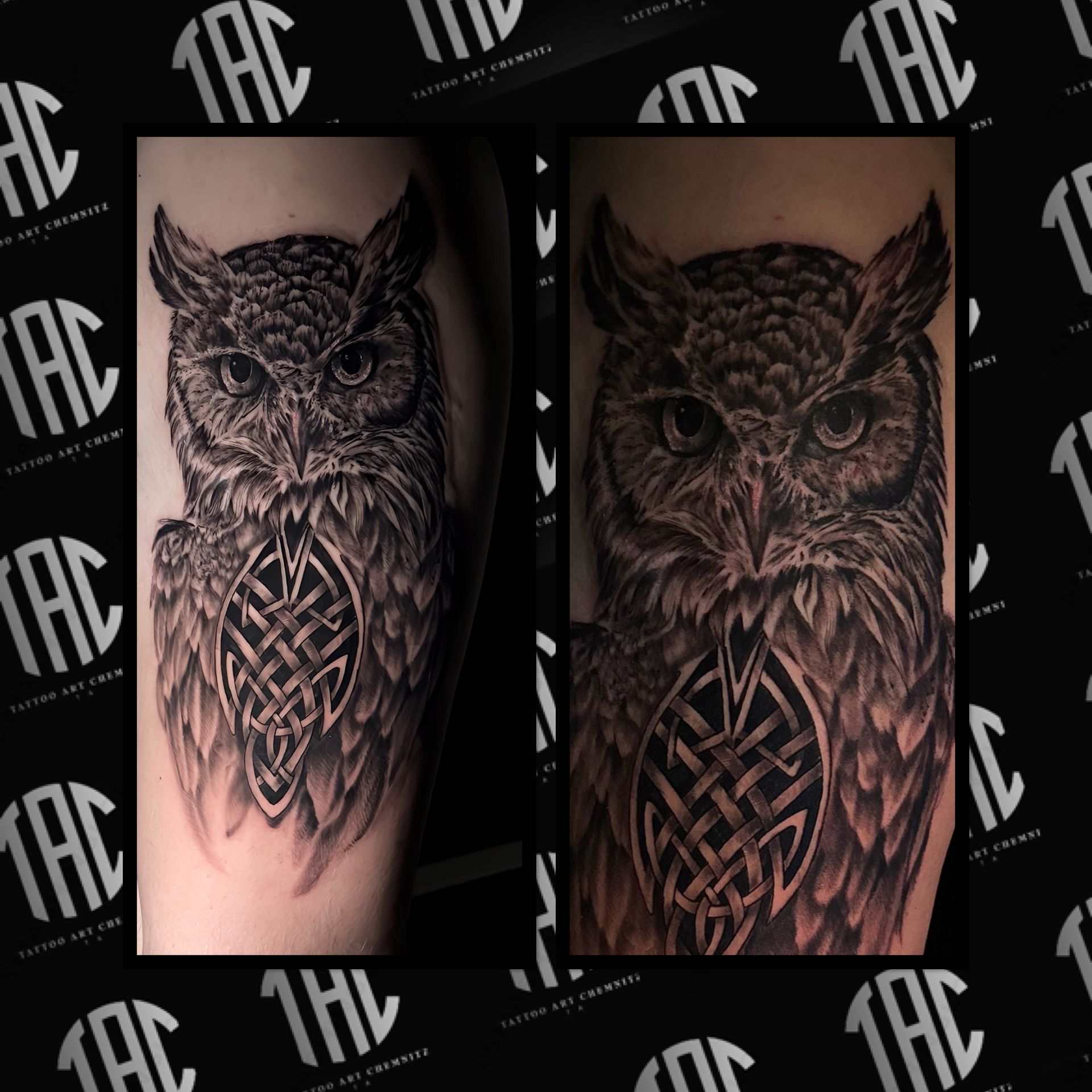 Eulen Tattoo Realistic von Tattoo Artist Thomas