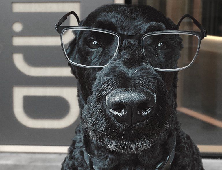 Grübbel Architektur. Atelier. - Wolly Grübbel Grübbel Architektur. Atelier. - Wolly Grübbel