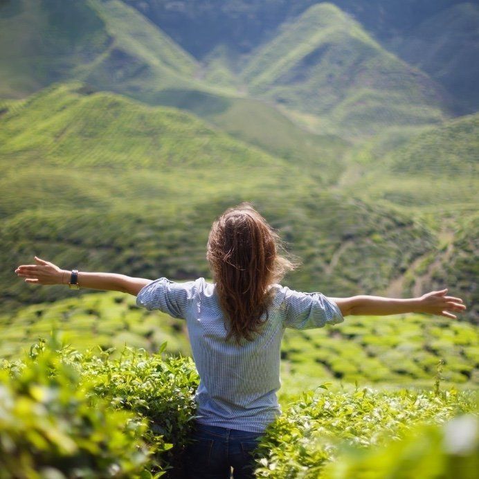 Es gibt viel zu entdecken auf der Suche nach dem wilden Mann.