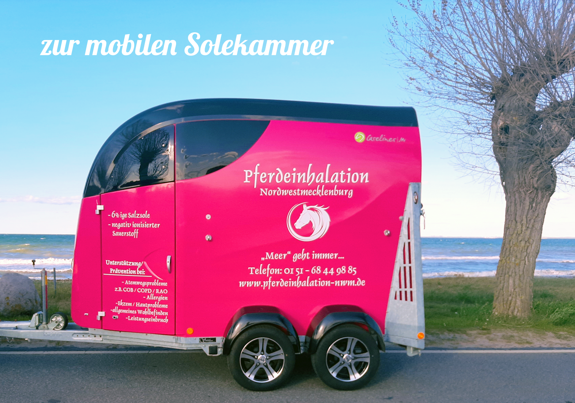 zur mobilen Solekammer mobile Solekammer für Pferde, Soletheapie Equines Asthma