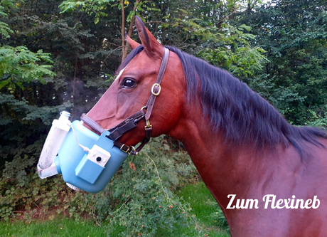 Flexineb Inhalationsmaske für Pferde Miete Verleih