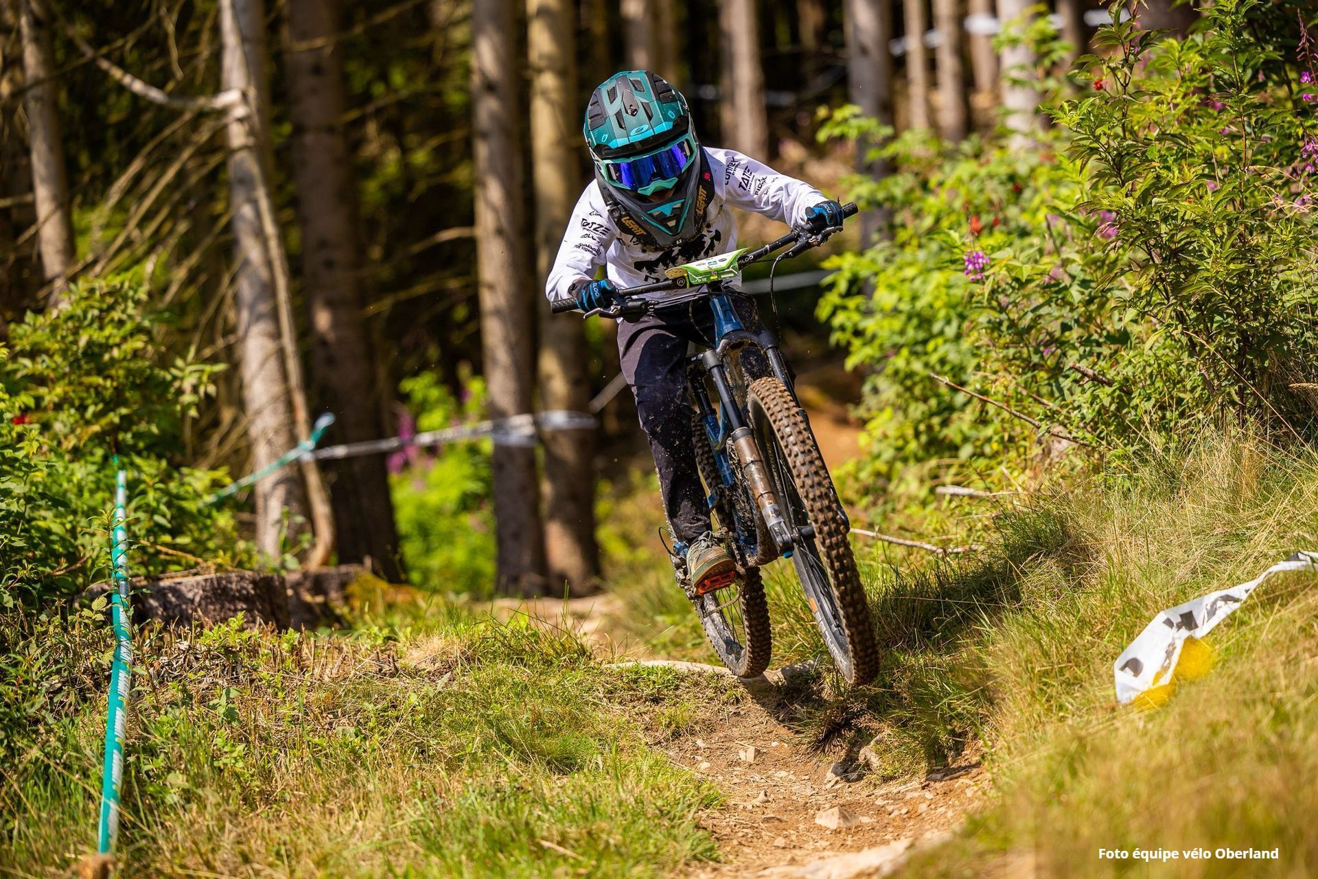 Nico Laufer Nico Laufer