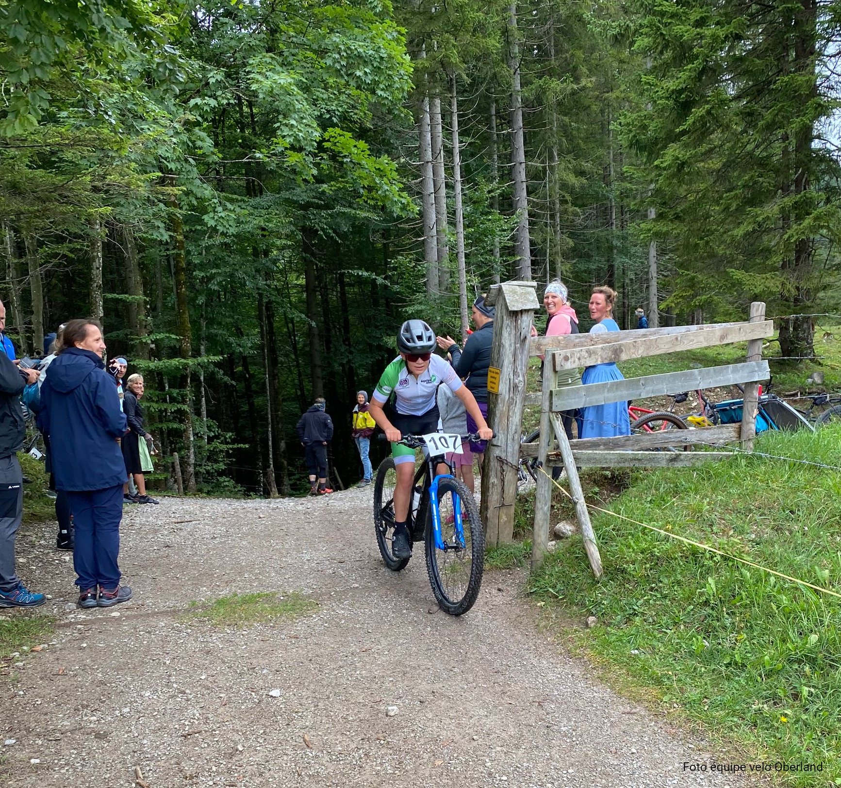 Niederhofer-Alm Niederhofer-Alm