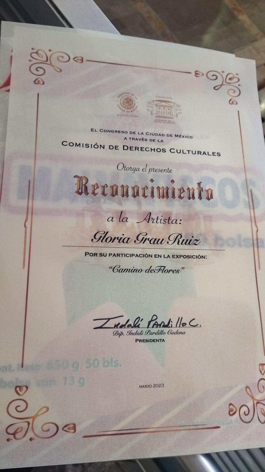 CONGRESO DE LOS DIPUTADOS DE MEXICO