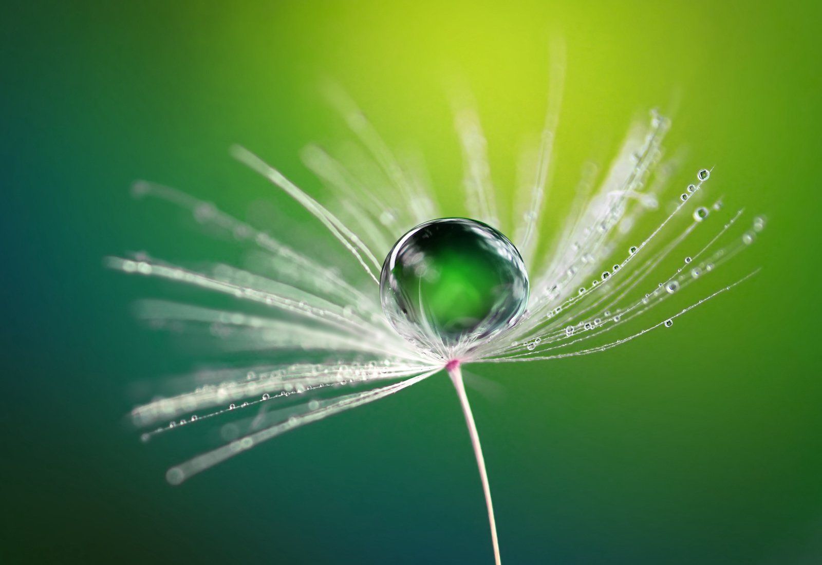 Funktionelle Orthonomie & Integration FOI Methode