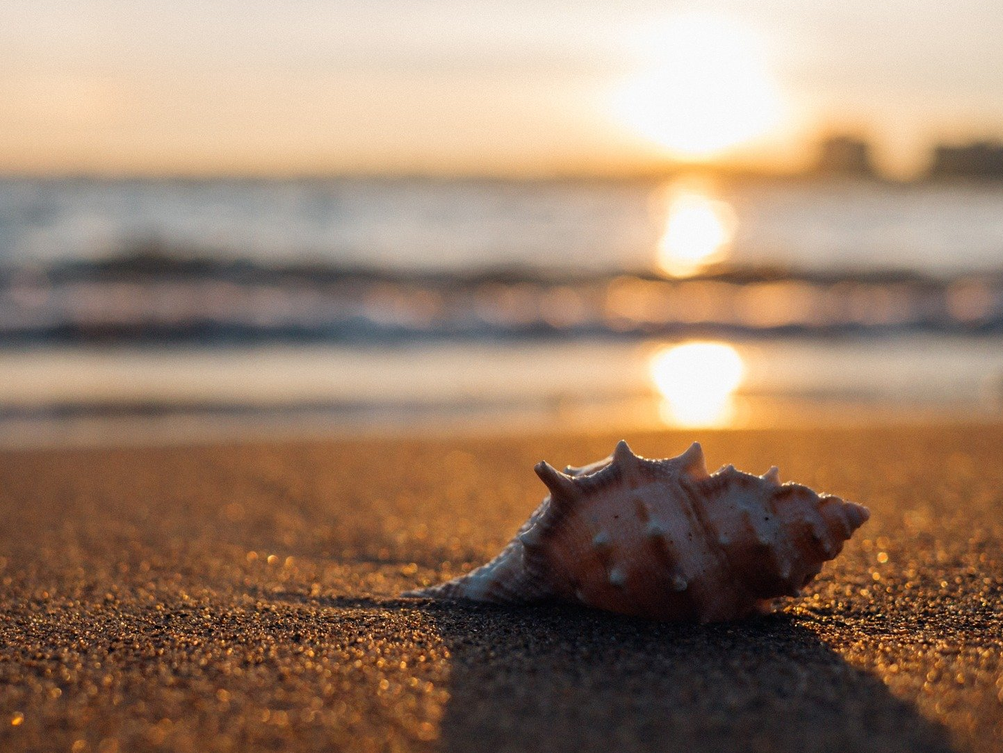 Fußreflexzonen-Massage für den Hausgebrauch