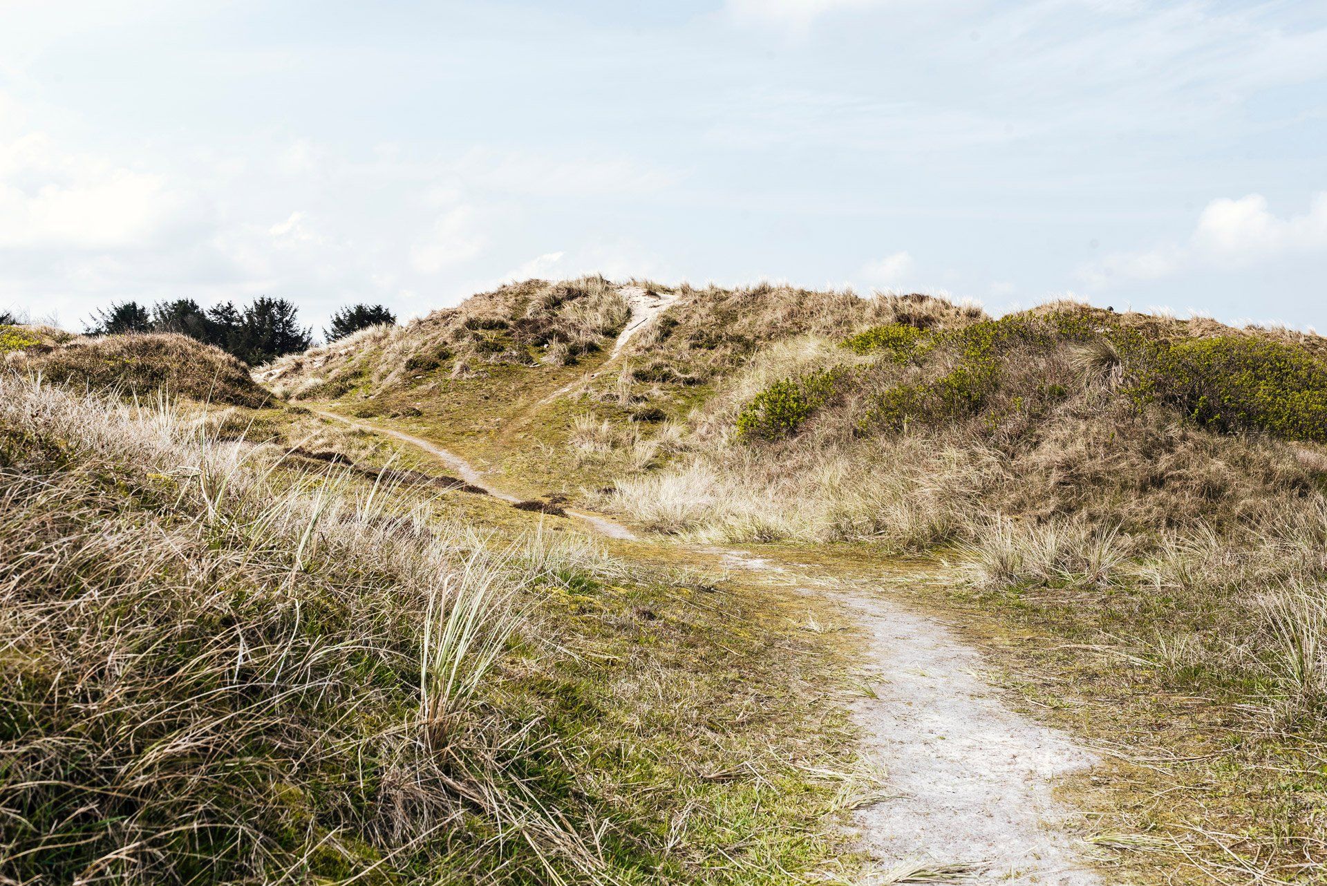 Der Natur lauschen dank Hörgeräten