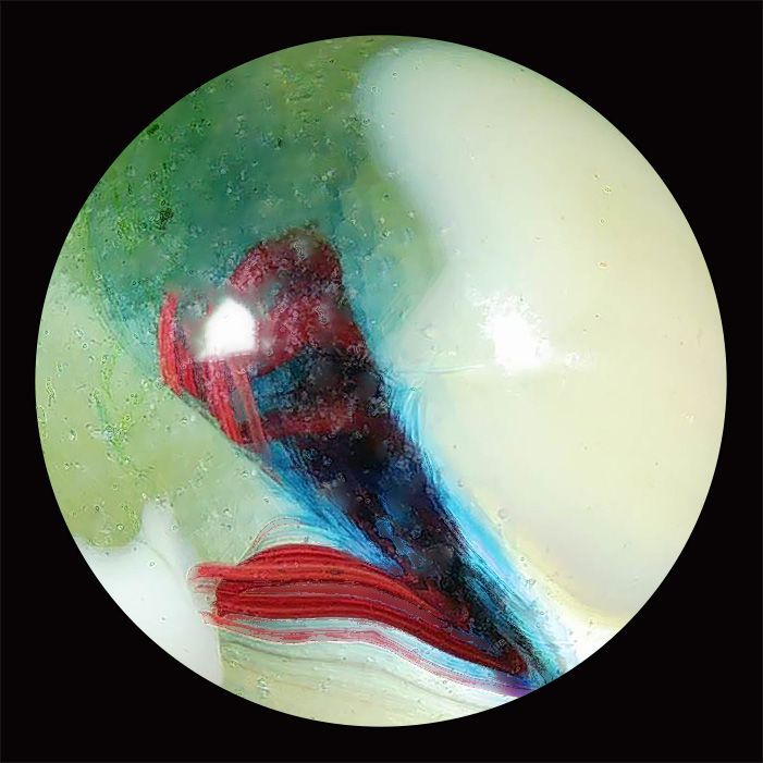 Sullys Jabos Marbles, Sully Vault