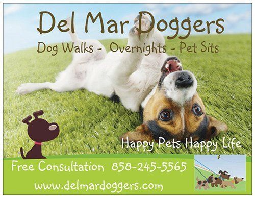 The Best Dog Walkers - Pet Sitters North County San Diego