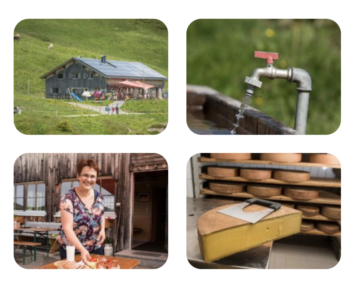 Käse aus traditioneller Herstellung – direkt von der Obertal Müls-Alpe für unser hausgemachtes Cordon bleu