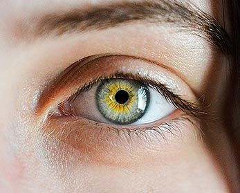 Consultation iridologie Marina Bergeon