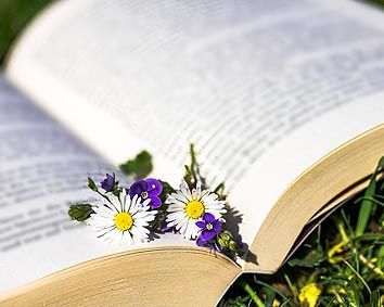 Déontologie Marina Bergeon