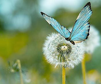 Journée pratique L'écoute de soi - Marina Bergeon Marina Bergeon
