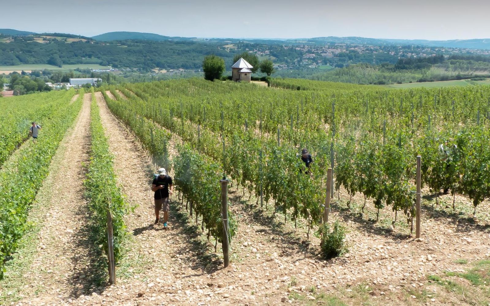 Epandages biodynamiques à la pompe à dos