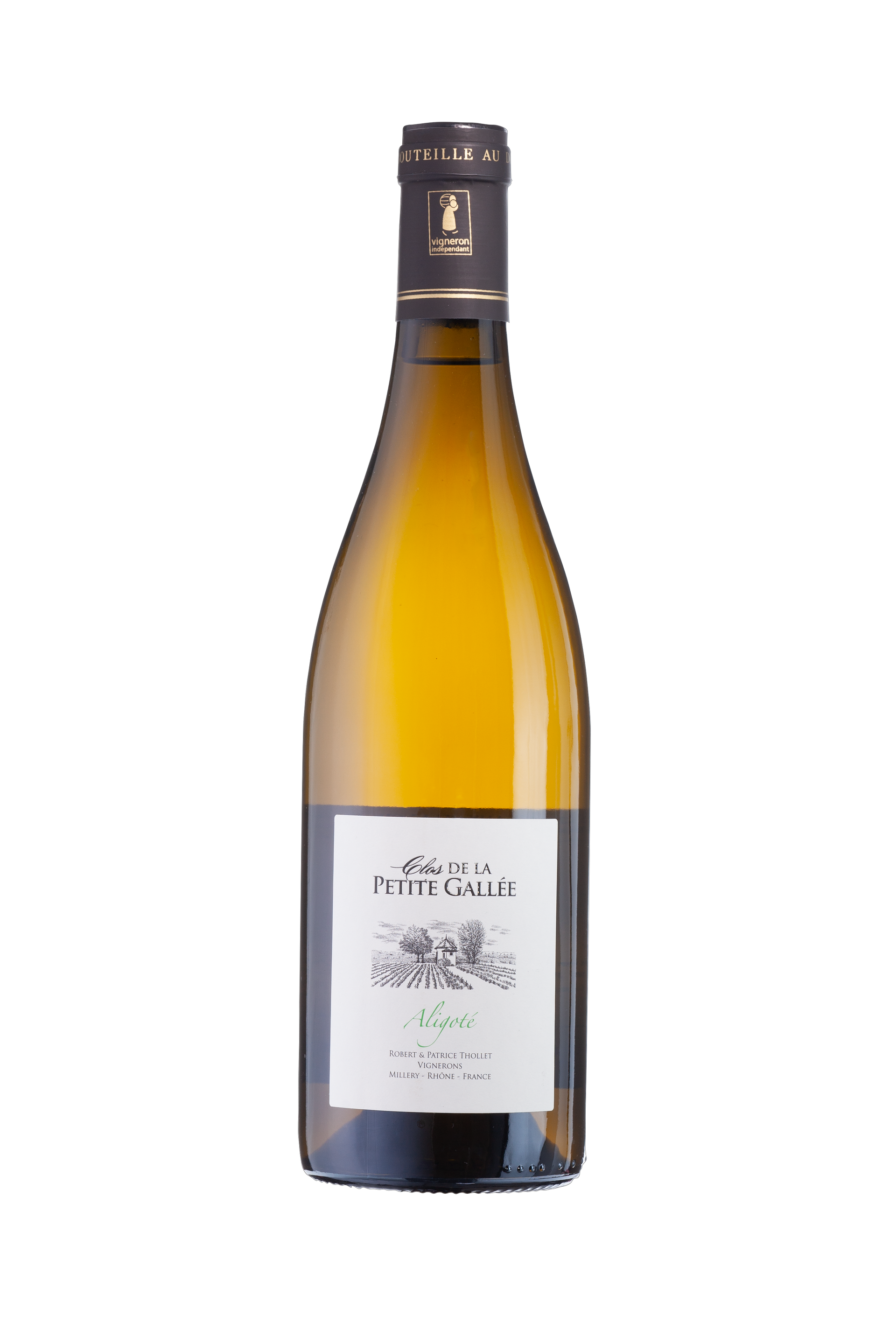 Aligoté blanc
