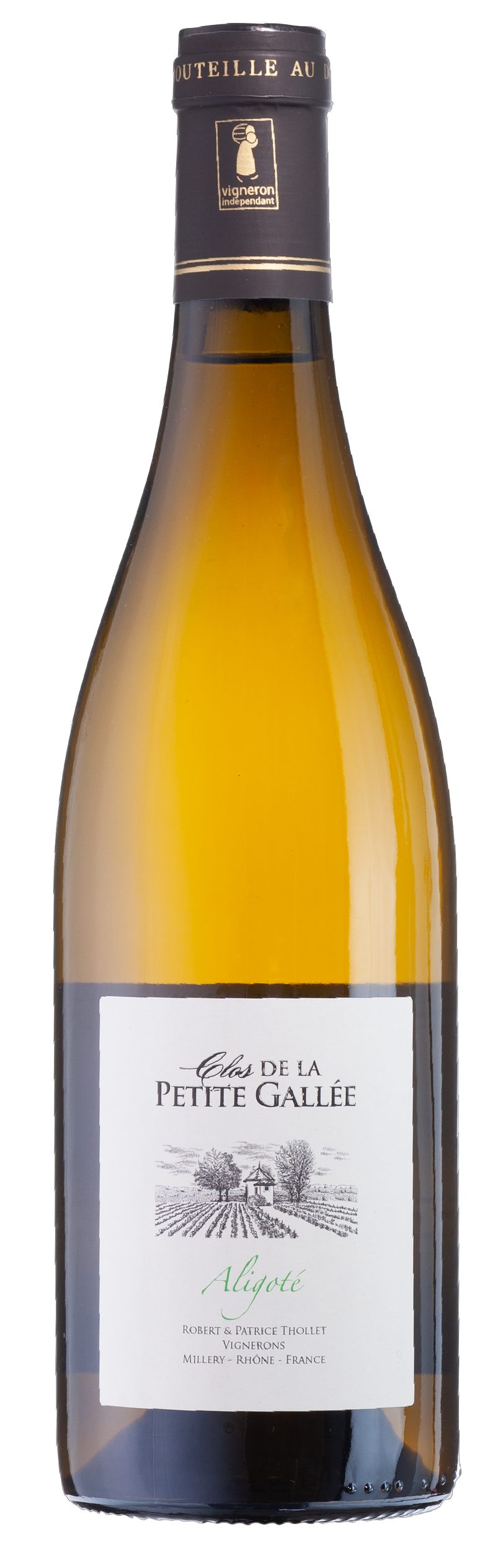 Aligoté Blanc